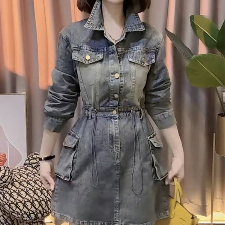 Denim Single Breasted Dress