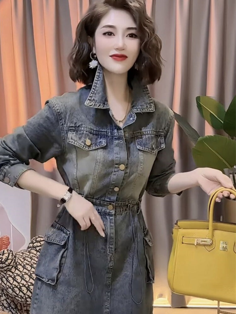 Denim Single Breasted Dress