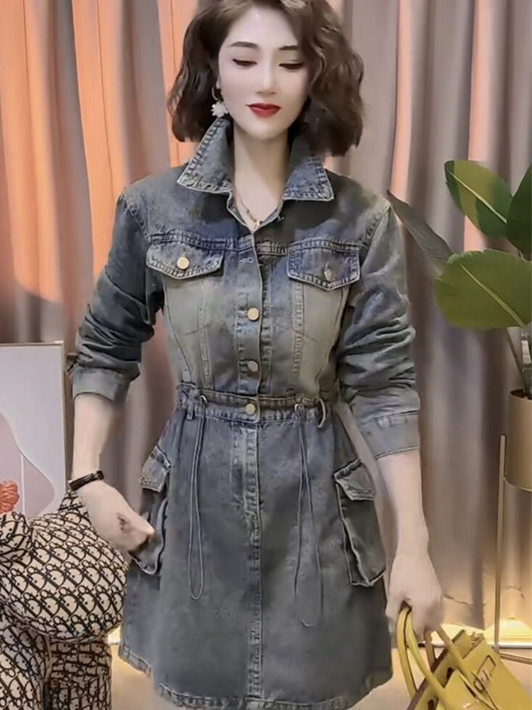 Denim Single Breasted Dress