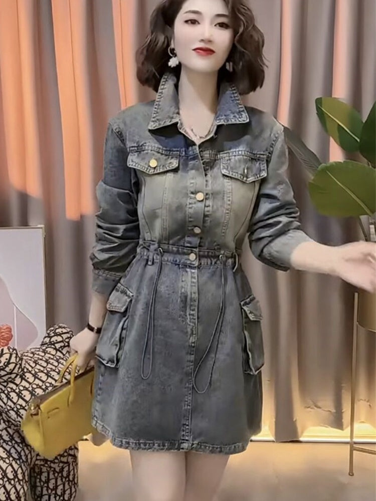 Denim Single Breasted Dress